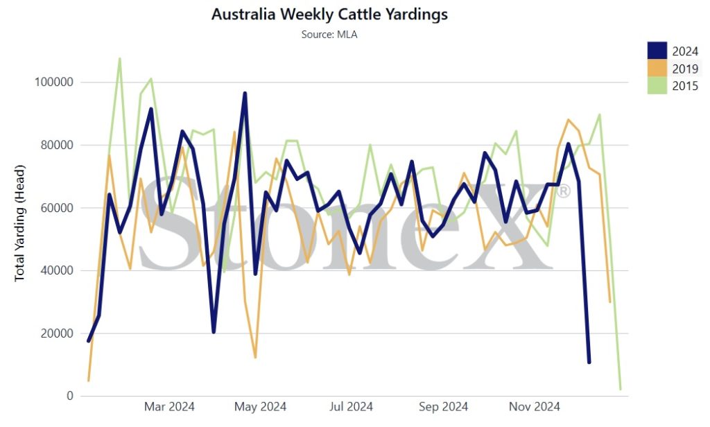 Australian Weekly Cattle Yardings: 06/12/2024