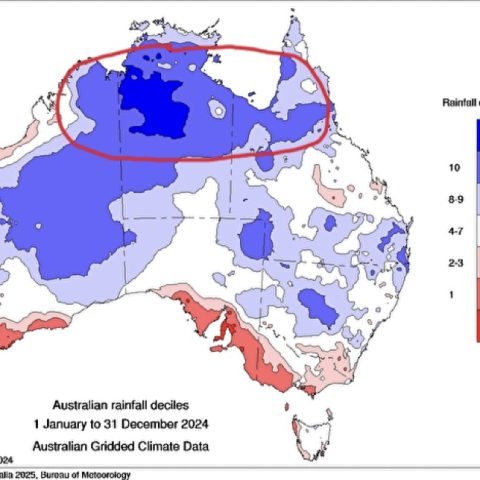 Australian-rainfall-deciles 2024