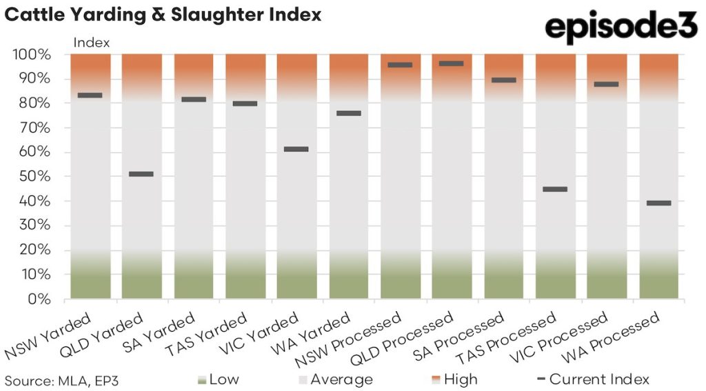 Auatralian Cattle Yarding and Slaughter index - November 2024