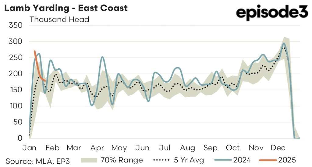 Lamb Yarding - East Coast graph: 2024 - 2025