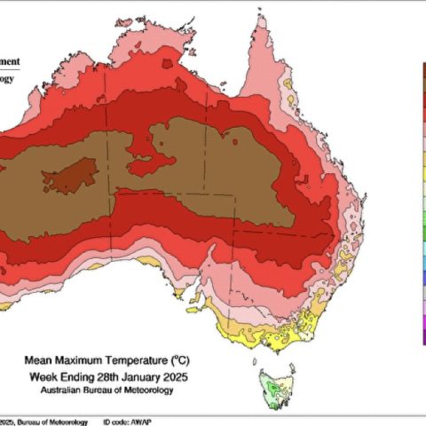 Mean Maximum Temperature week ending 28/01/2025