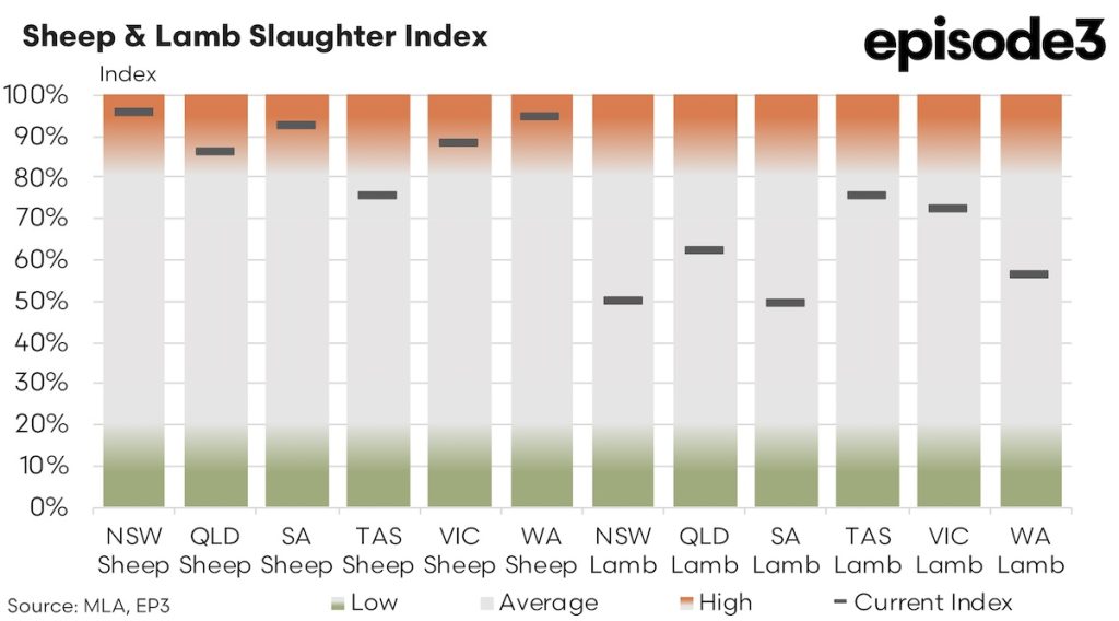 Sheep & Lamp Slaughter Index: December 2024