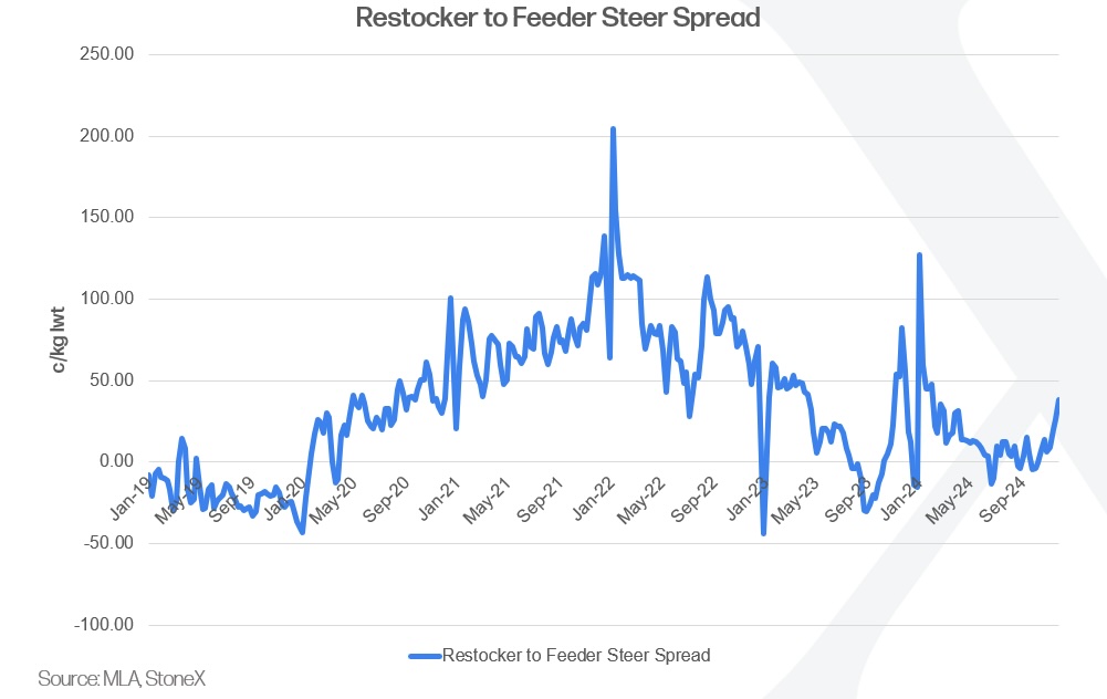 Restocker to Feeder Steer Spread: 2019 - 2024