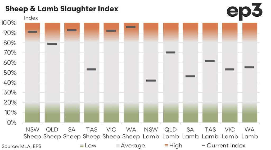 Sheep & Lamb Slaughter Index: 2024