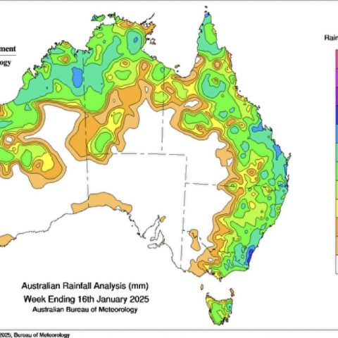 Australian Rainfall Analysis week ending 16th January 2025